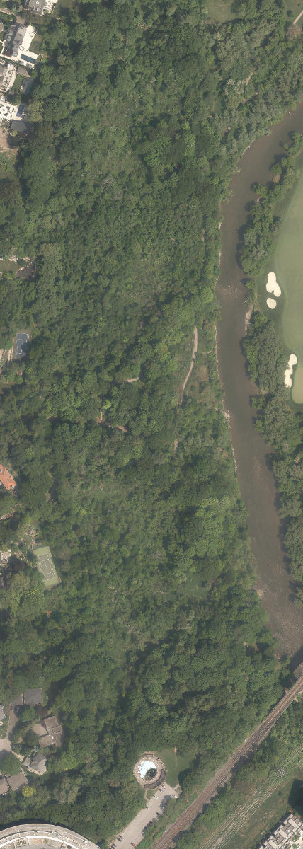 Lambton Woods — site photograph