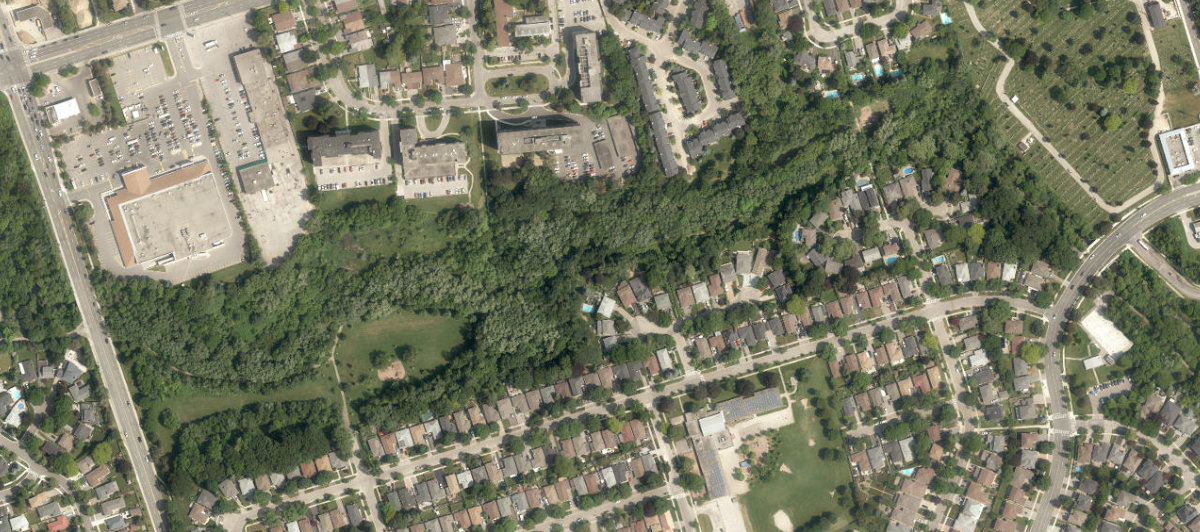 Alex Marchetti Park — site photograph
