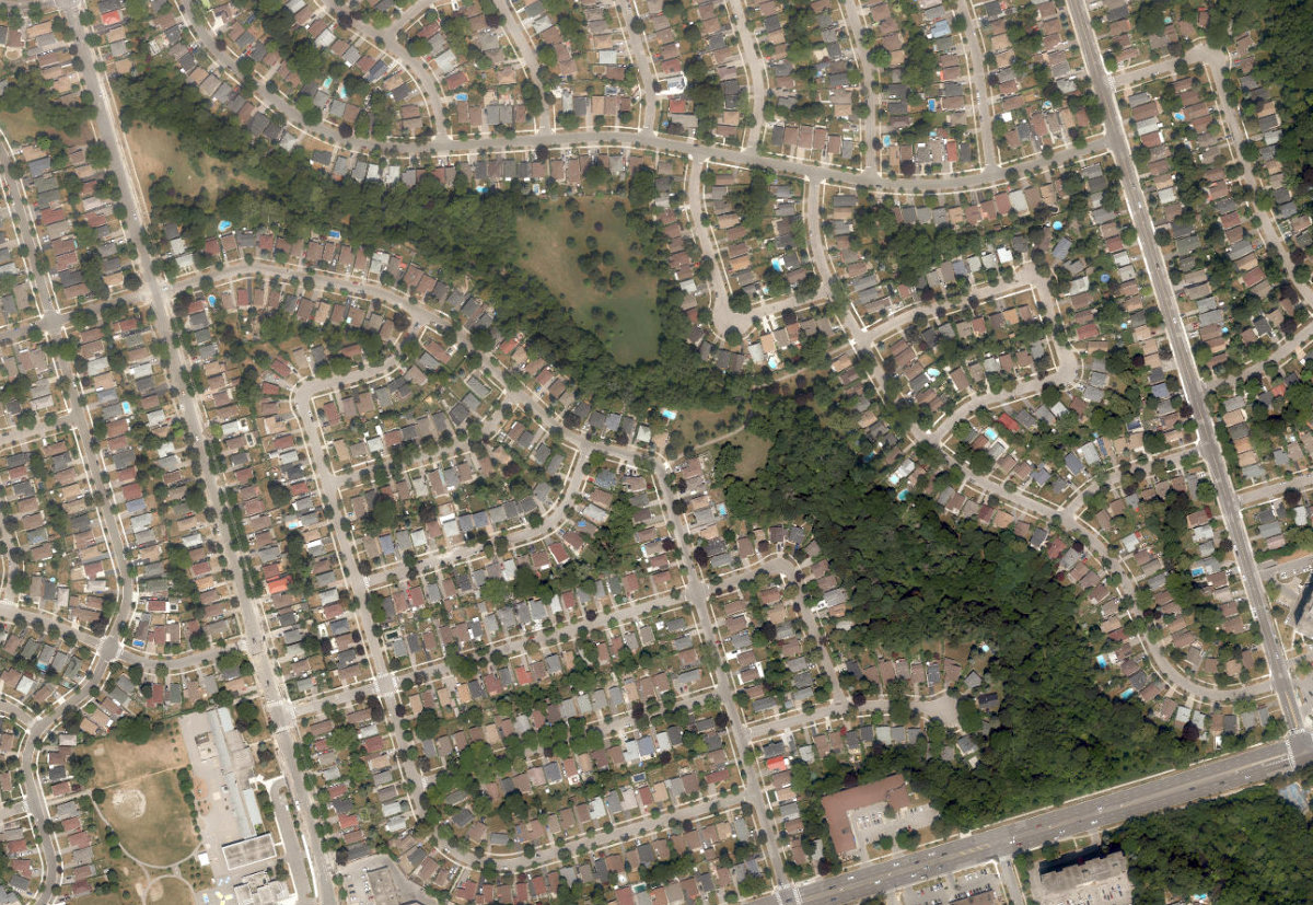 Curran Hall Ravine Park — aerial / top-down view