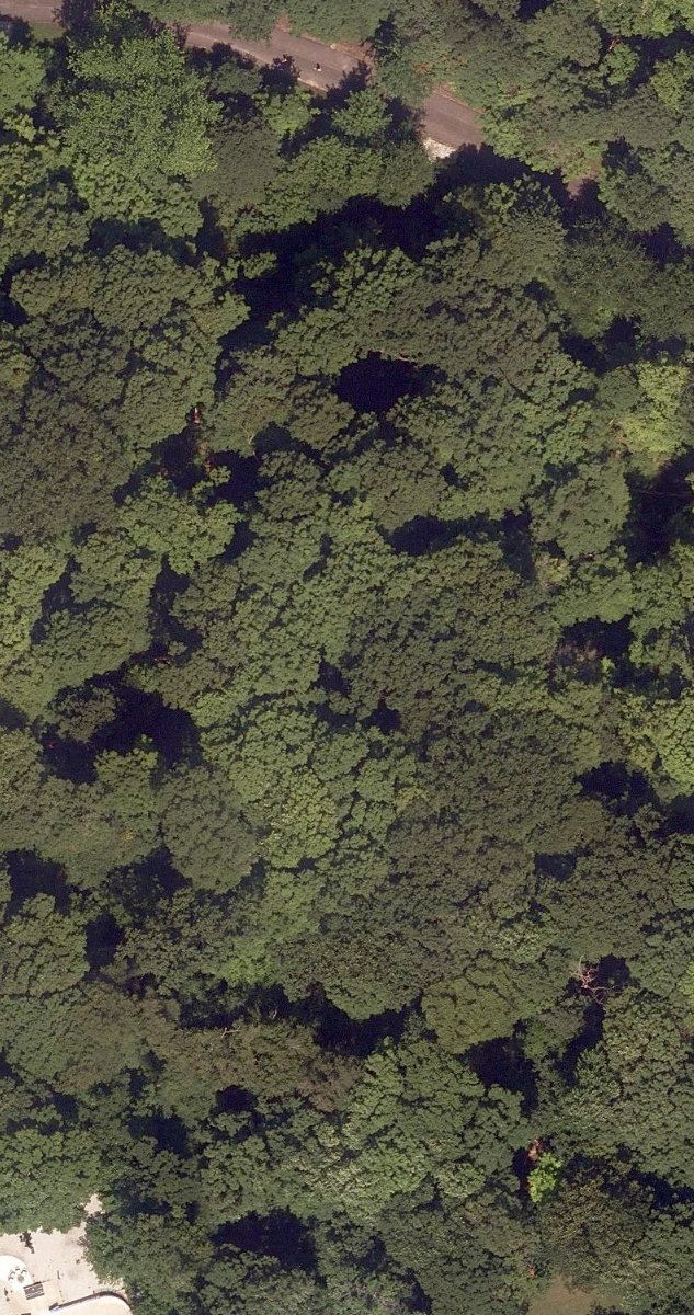 Trca Lands ( 34) — site photograph