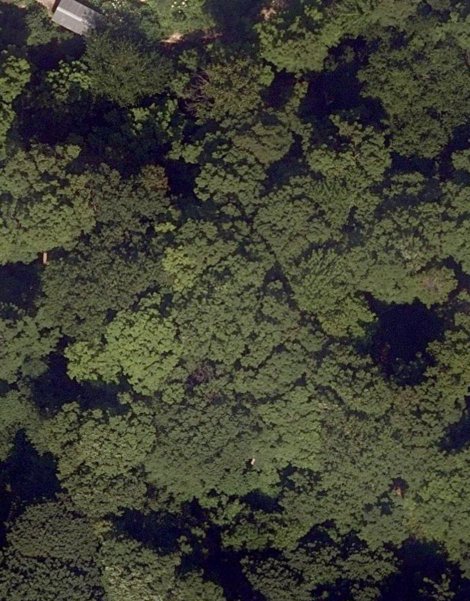 Trca Lands ( 92) — site photograph