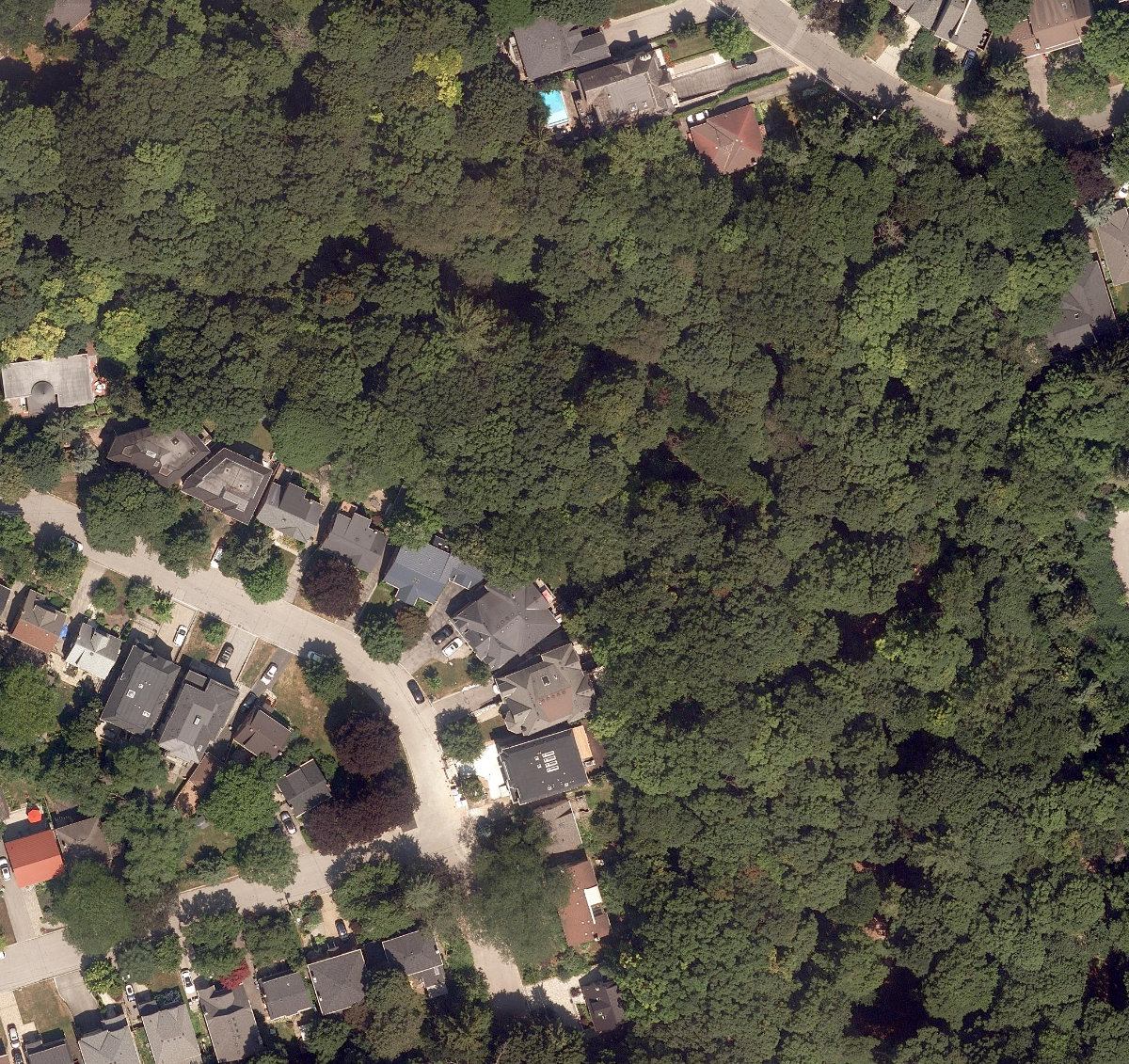 Stuart Greenbelt — site photograph
