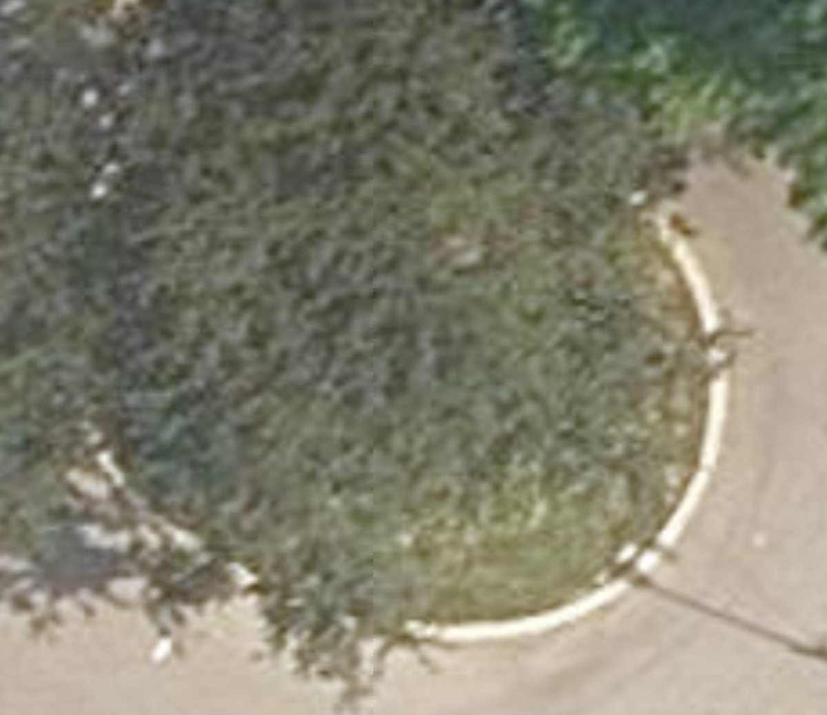 Gracey Blvd Islands — site photograph