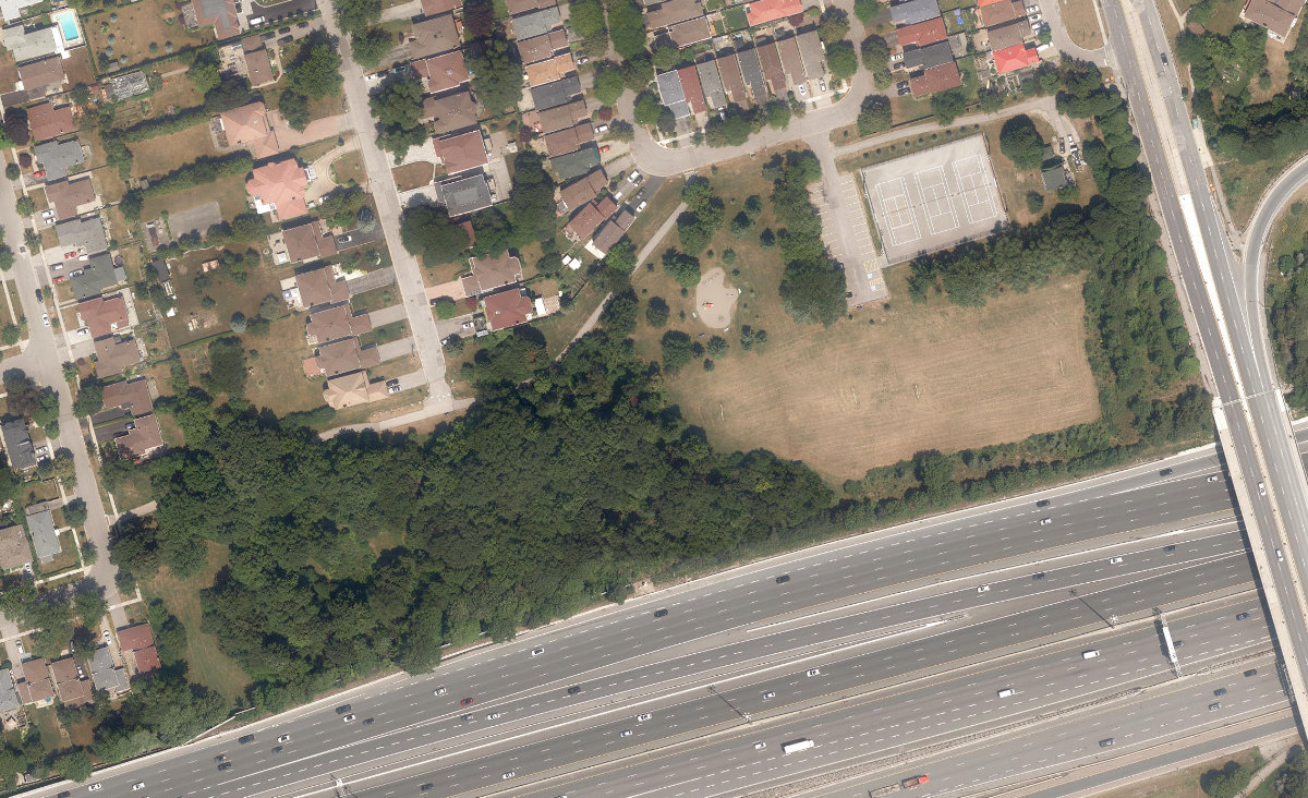Mcdairmid Woods Park — site photograph