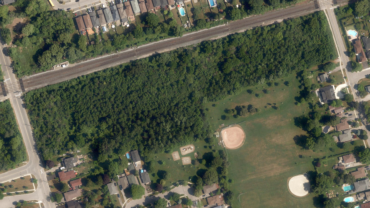 Poplar Park — site photograph