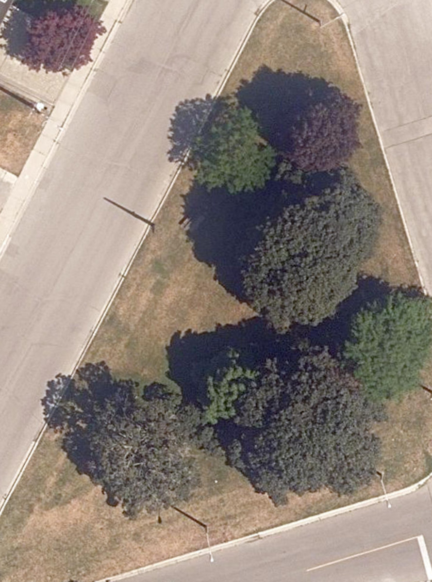 Winston Churchill Rd Traffic Island — site photograph