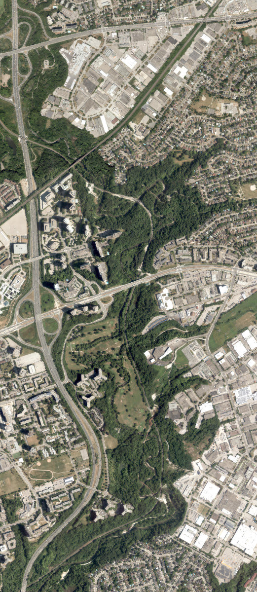 Charles Sauriol Conservation Area — site photograph