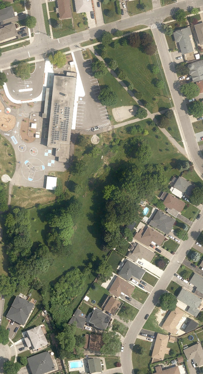 Gracefield Park — site photograph