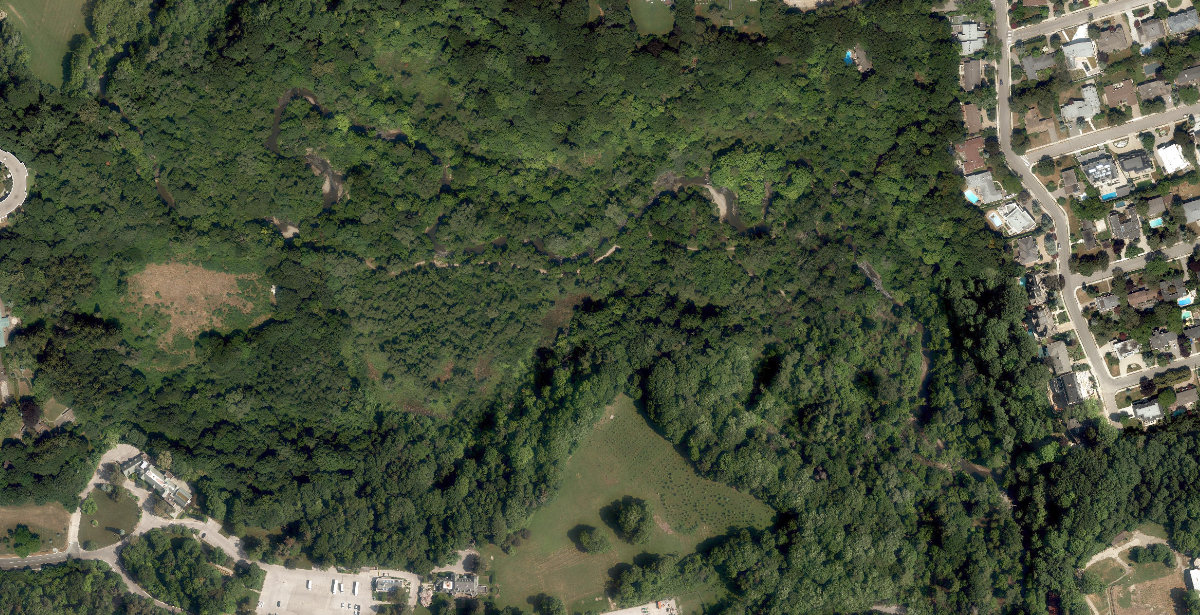 Glendon Forest — site photograph