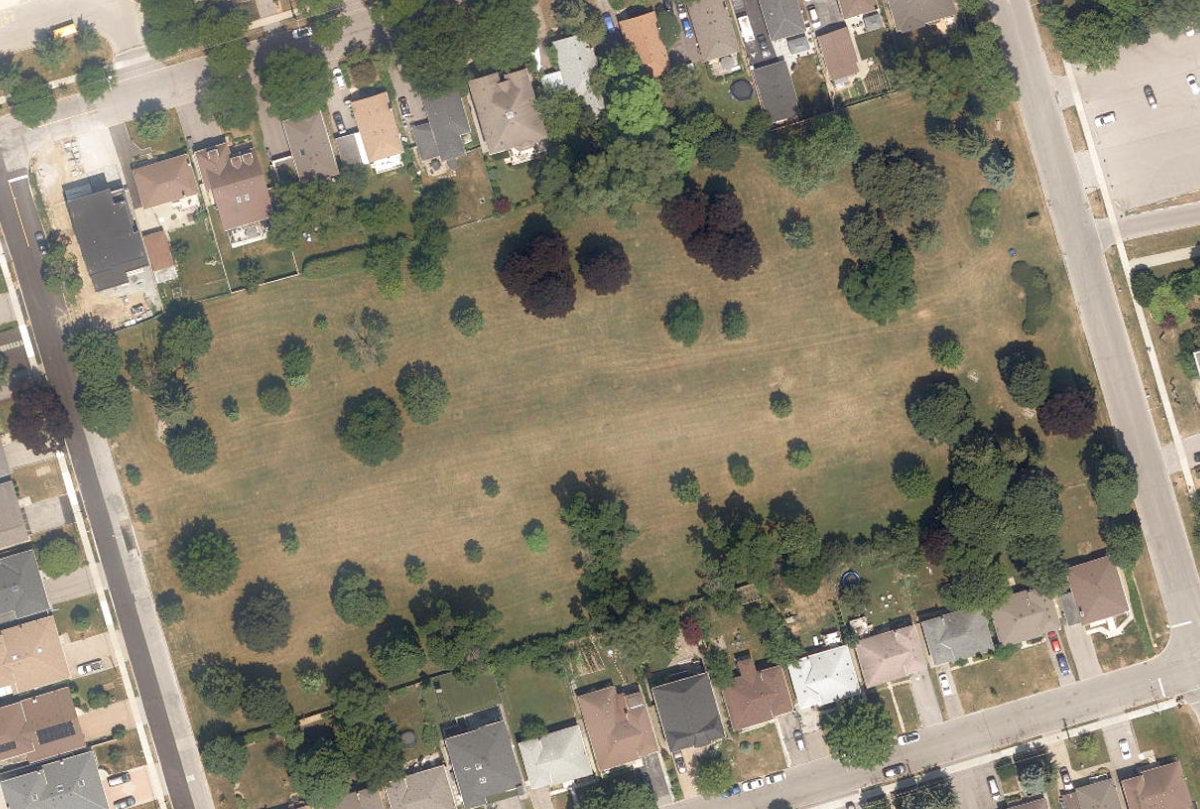 Ellison Park — site photograph