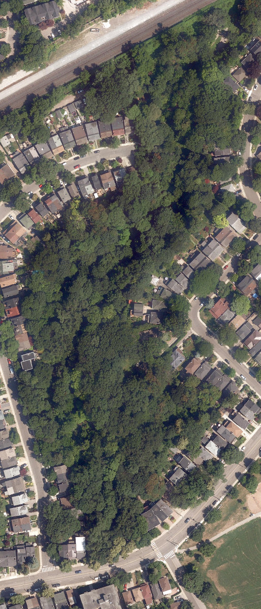 Williamson Park Ravine — site photograph