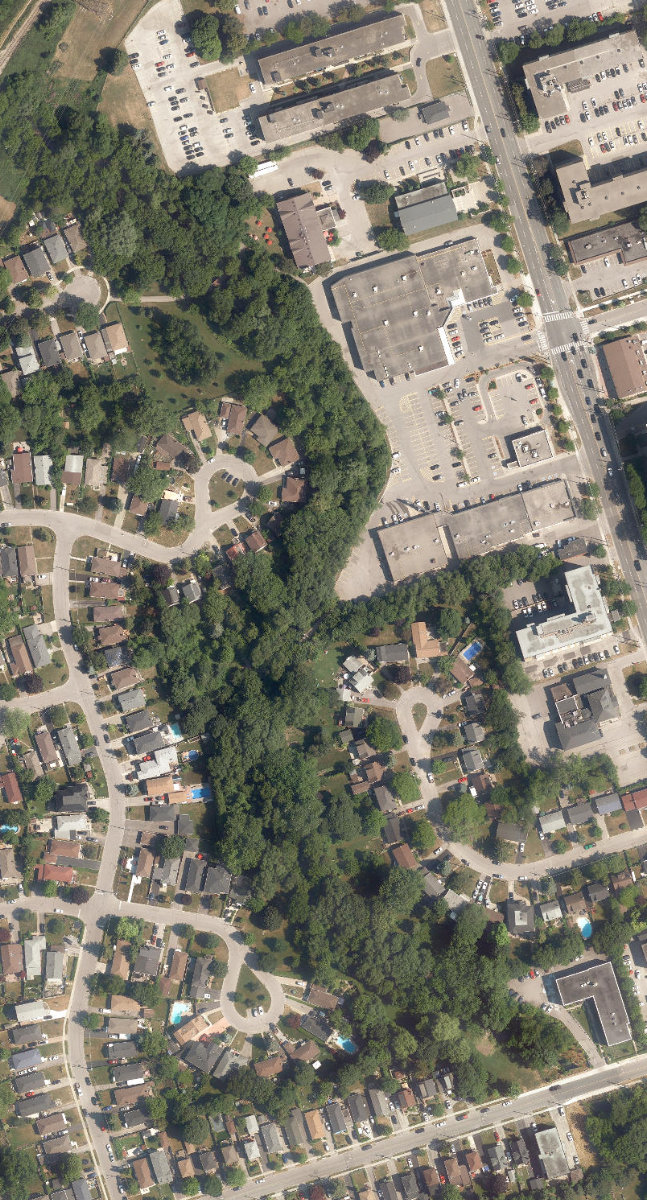 Farlinger Ravine — site photograph