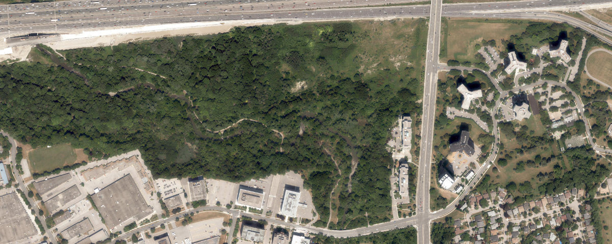 Betty Sutherland Trail Park — site photograph