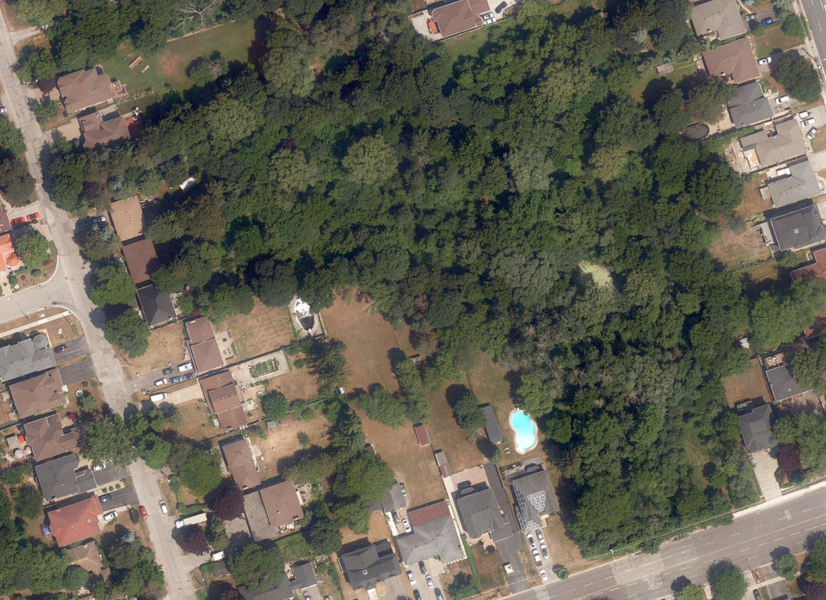 Ellesmere - Zaph Ravine — site photograph