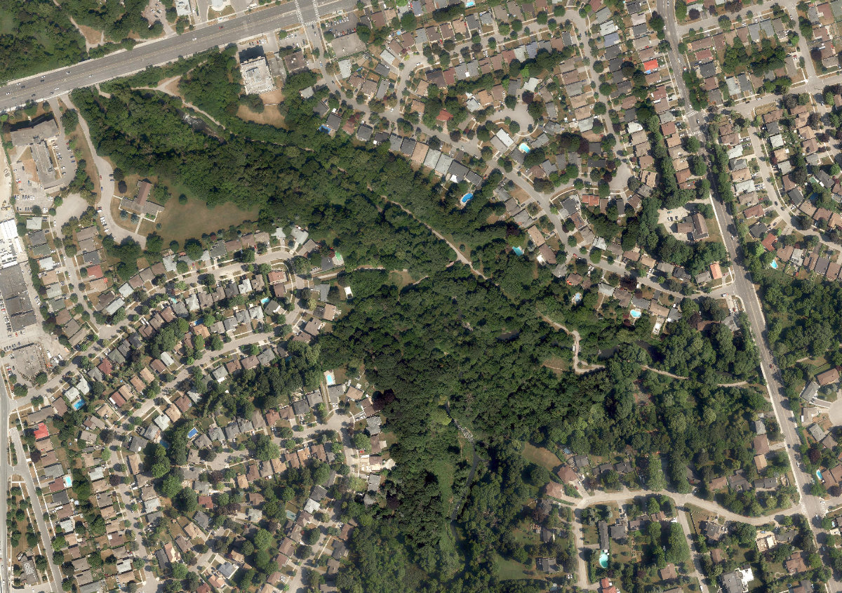 Hague Park — site photograph