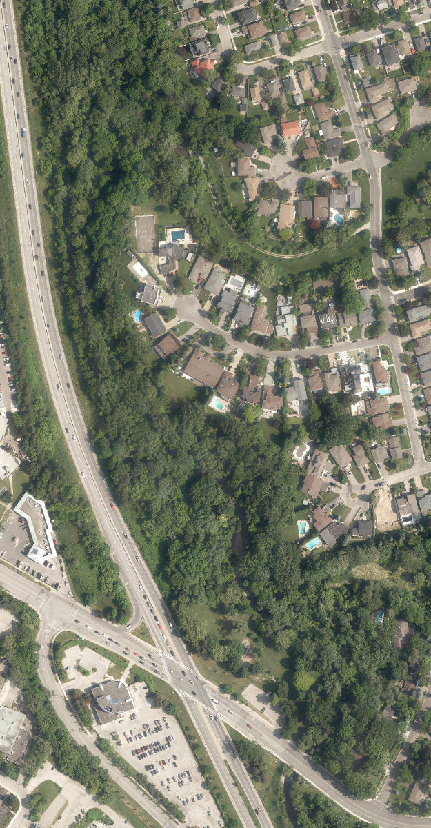 Trethewey Park East — site photograph