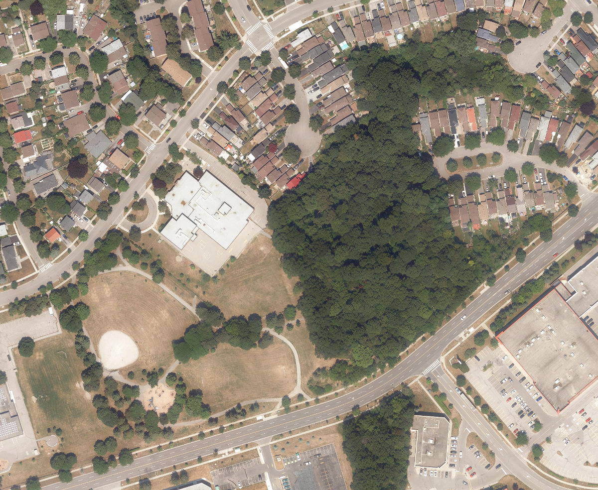 Murison Park — aerial / top-down view