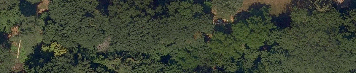 Trca Lands ( 60) — site photograph