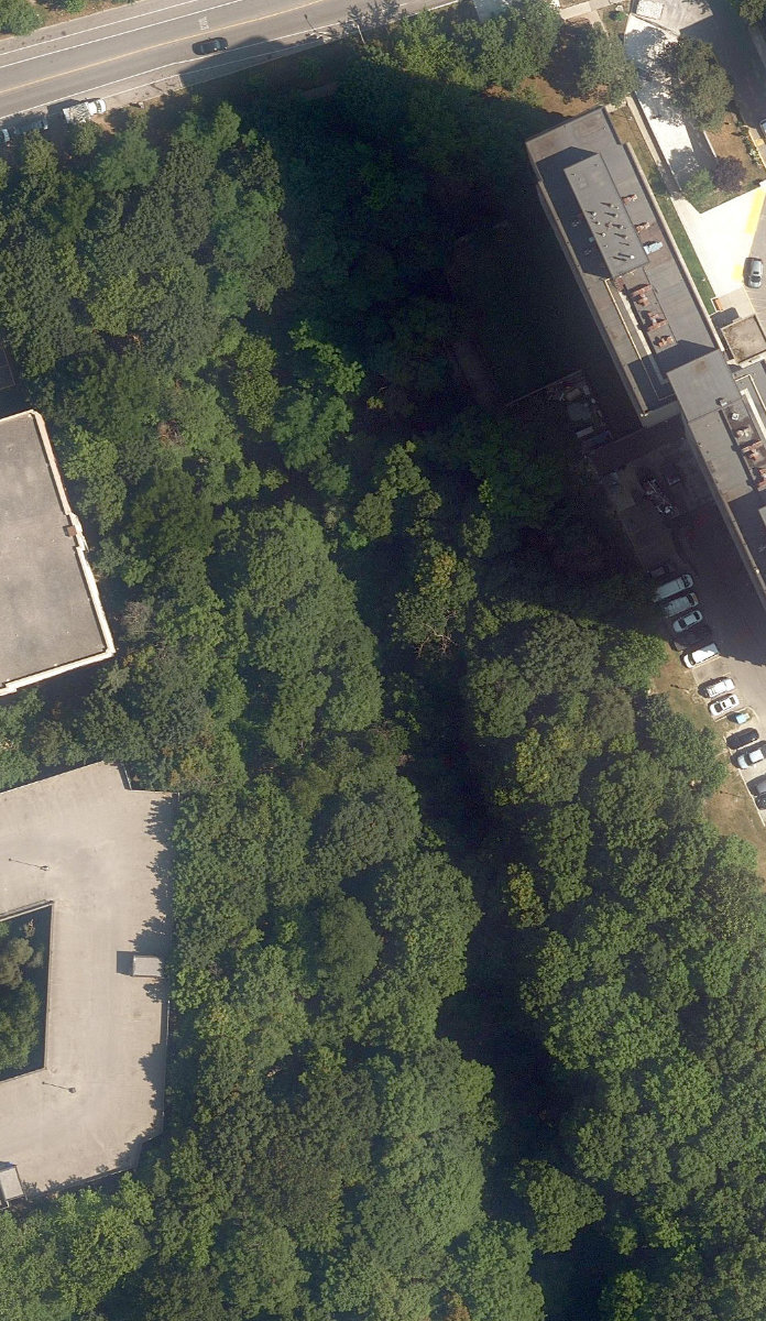 Gateway Greenbelt — site photograph