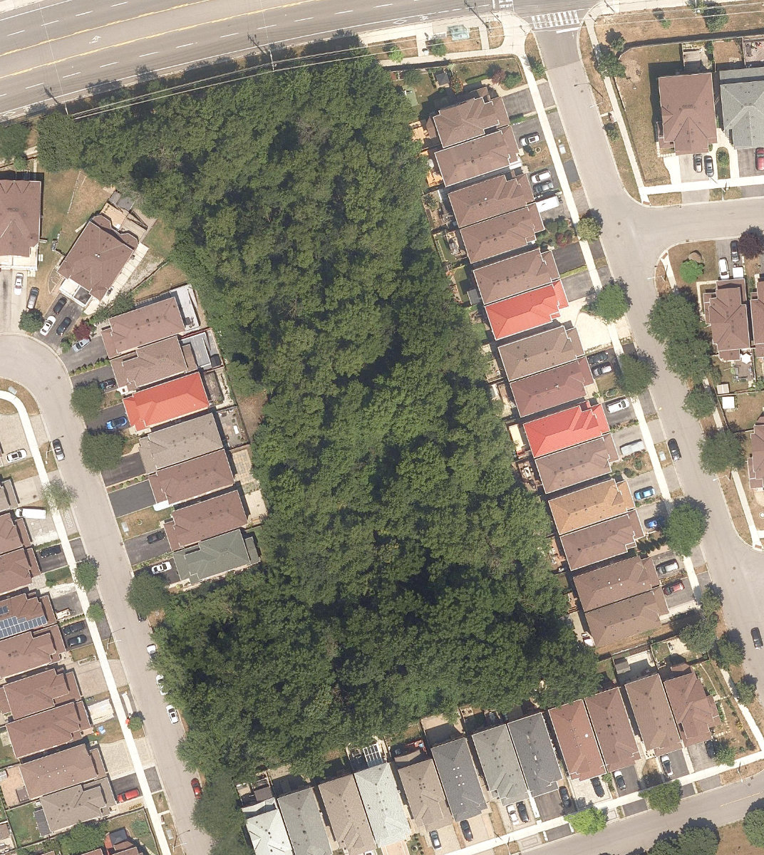 Mourning Dove Park — site photograph
