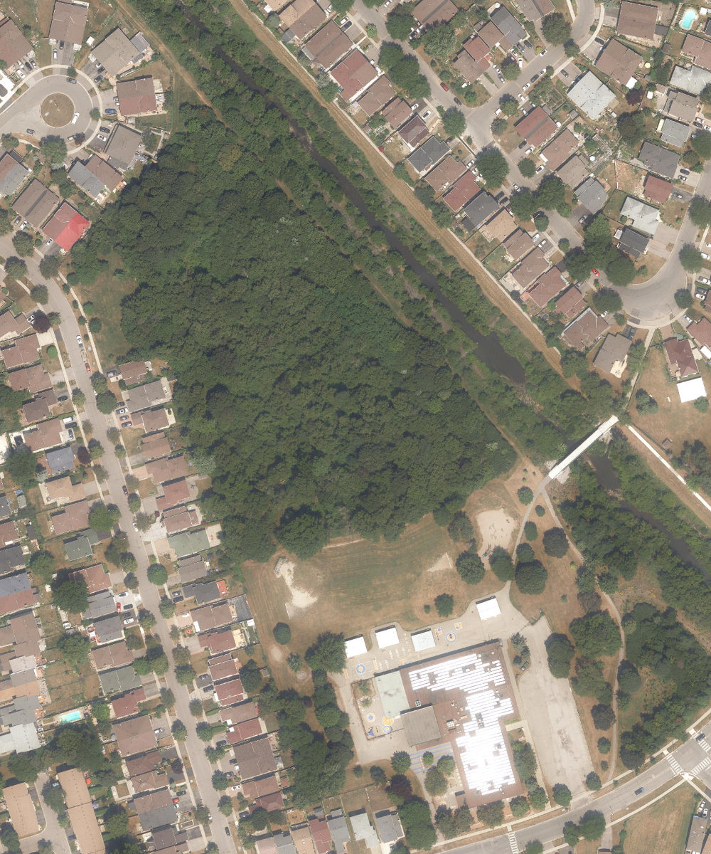 Pinetree Park — site photograph