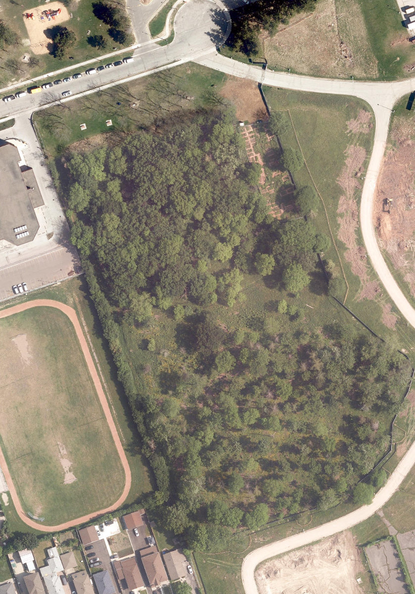 Panorama Park — site photograph