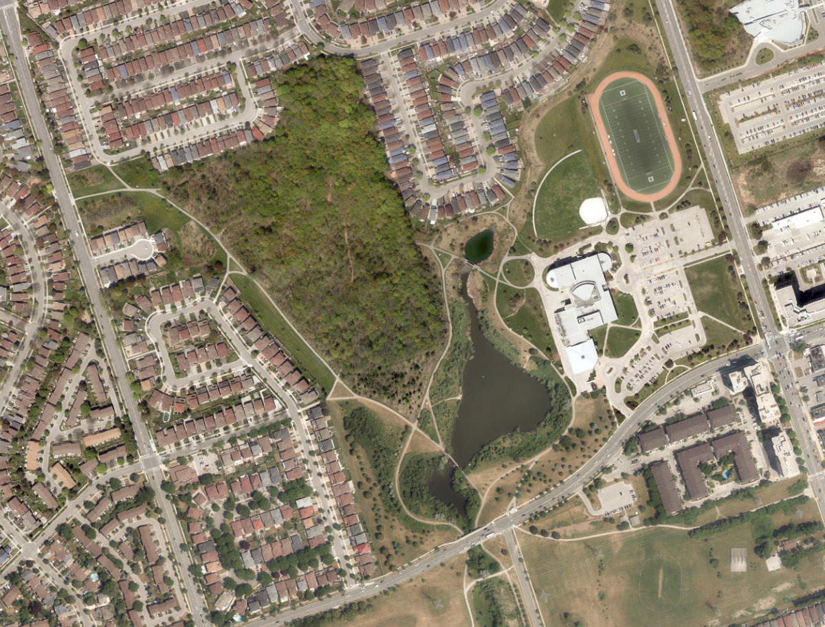 L'Amoreaux North Park — aerial / top-down view