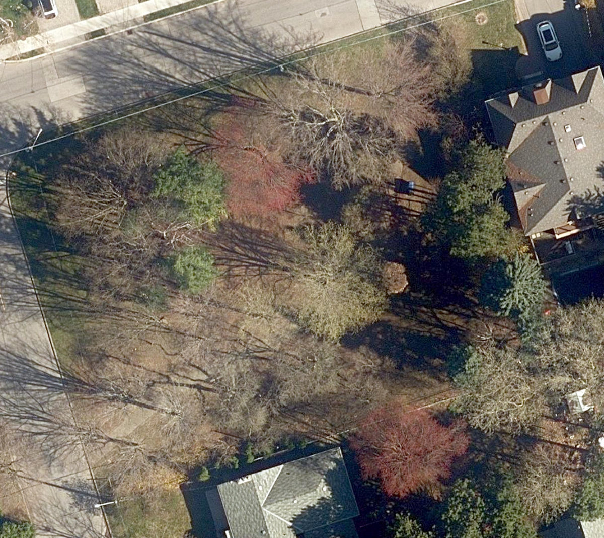 Horsham Parkette — site photograph