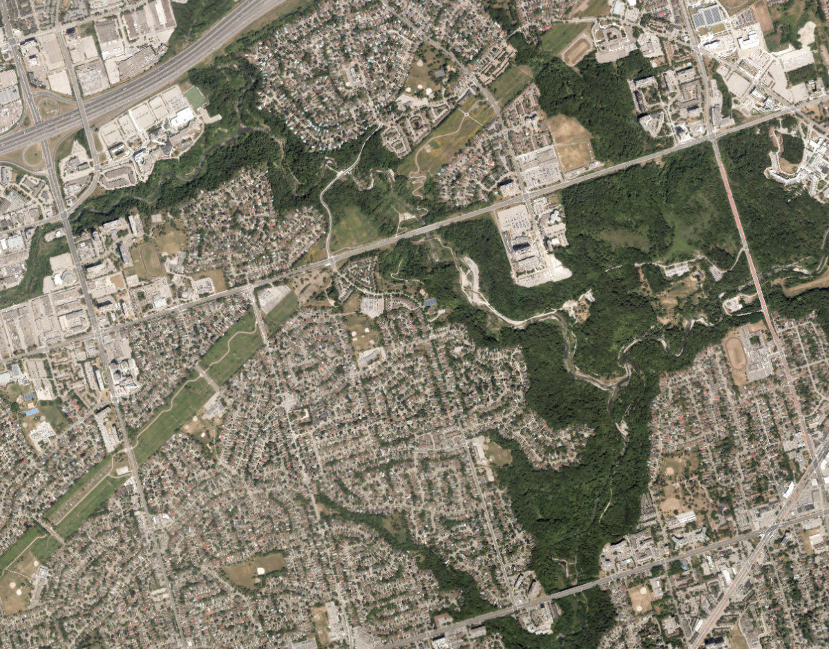 Morningside Park — site photograph