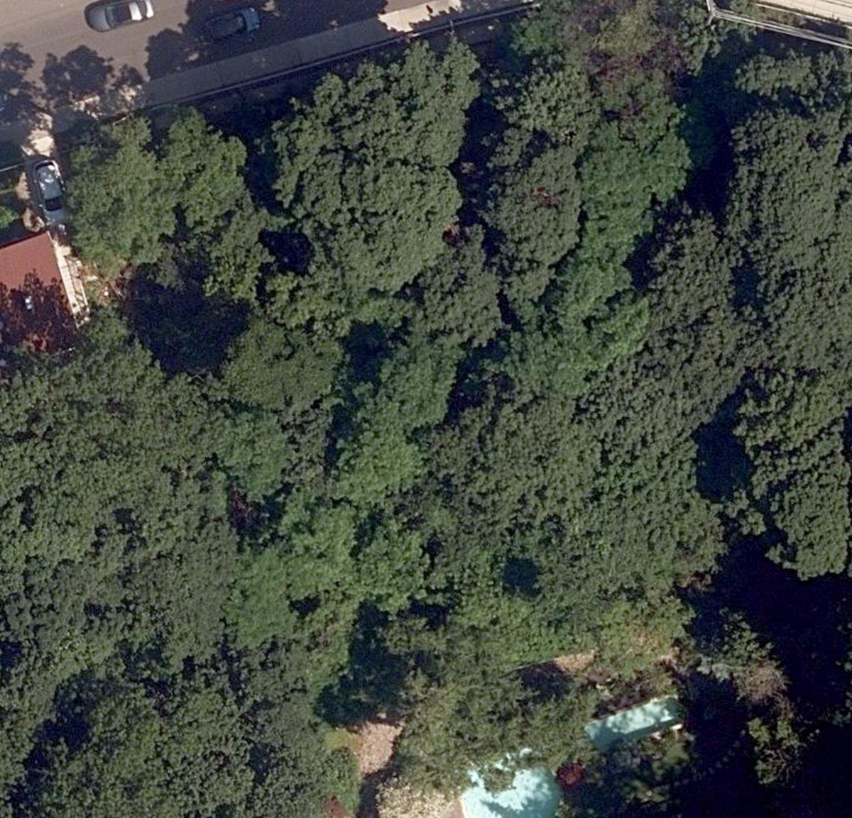 Neville Park Blvd Ravine — site photograph