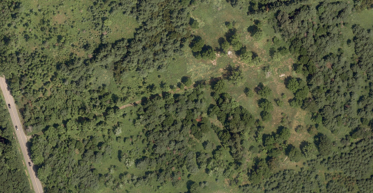 Trca Lands ( 22) — site photograph
