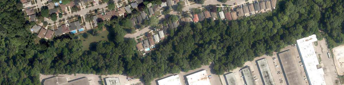 Woodgrove Ravine Park — site photograph
