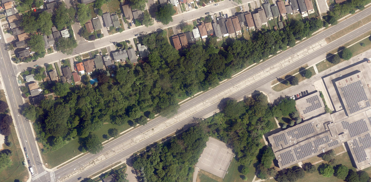 Birchcliff Woods — site photograph
