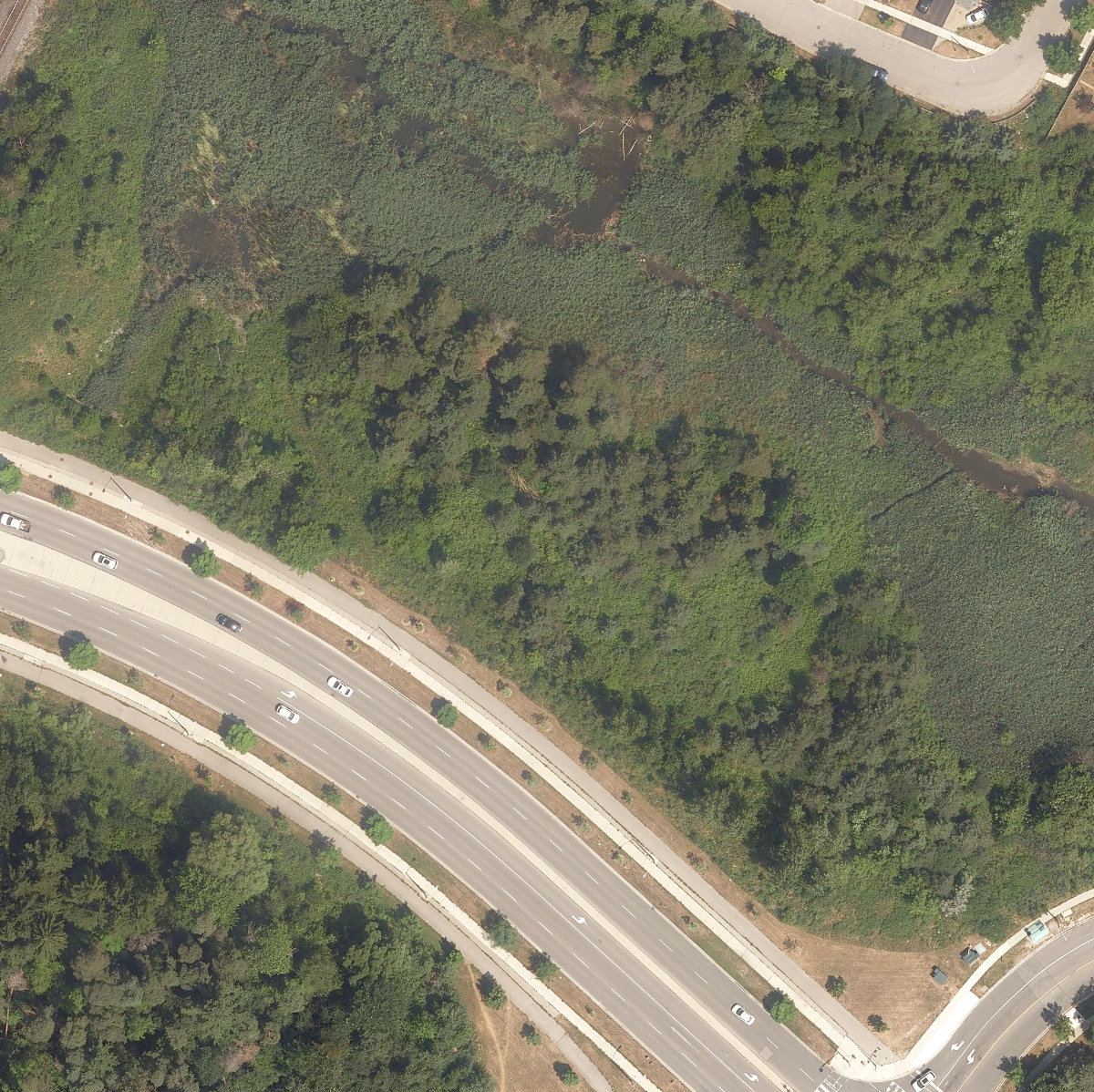 Misty Hills Park — site photograph