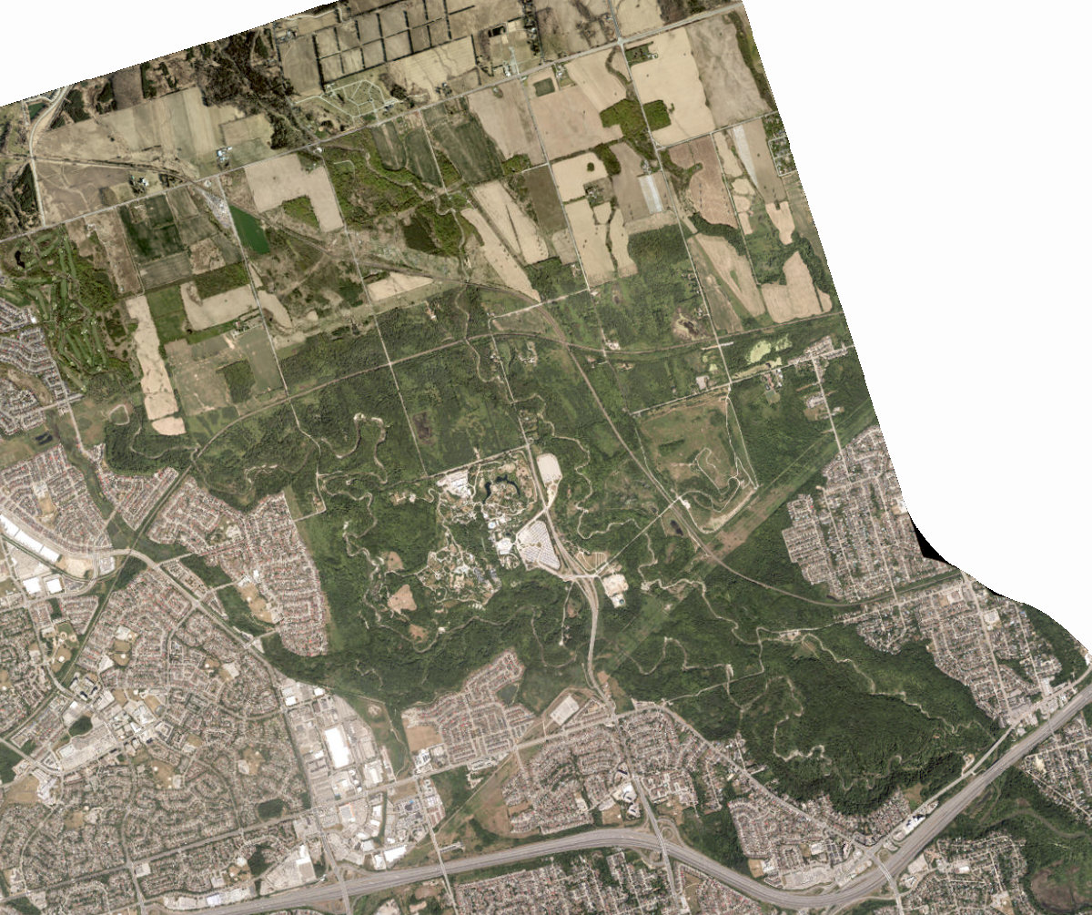 Rouge Park — site photograph