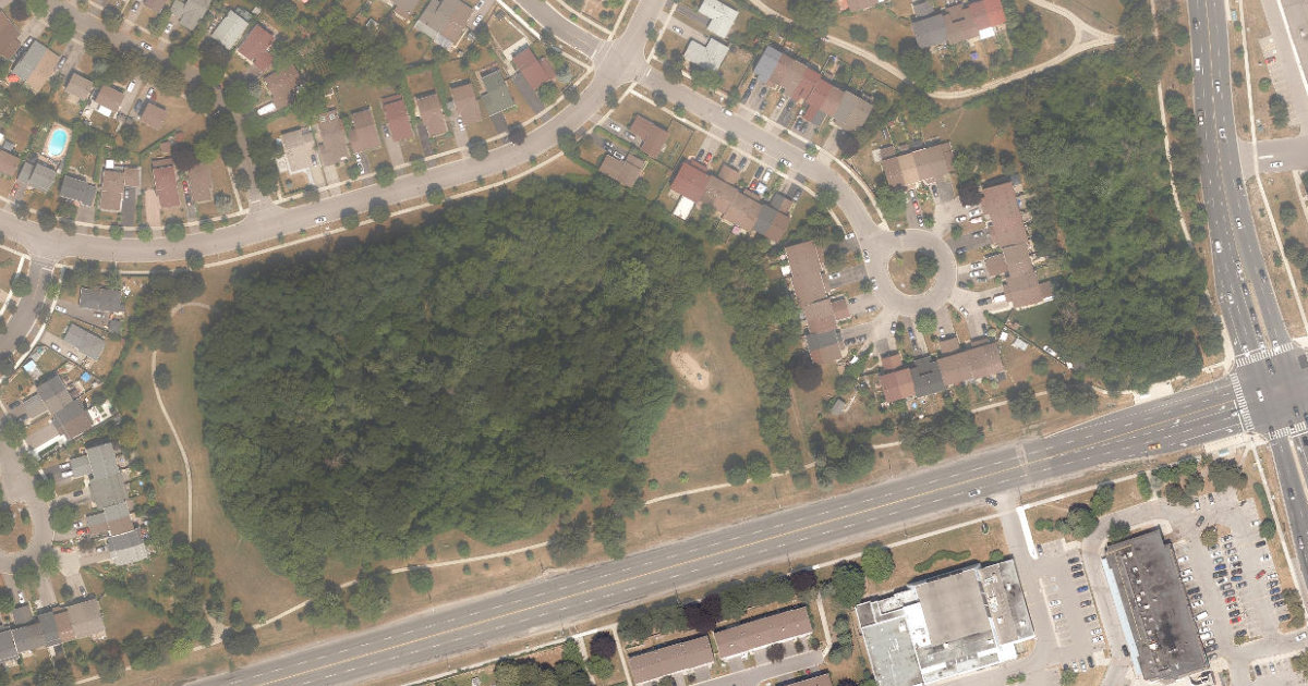 Malvern Woods — aerial / top-down view