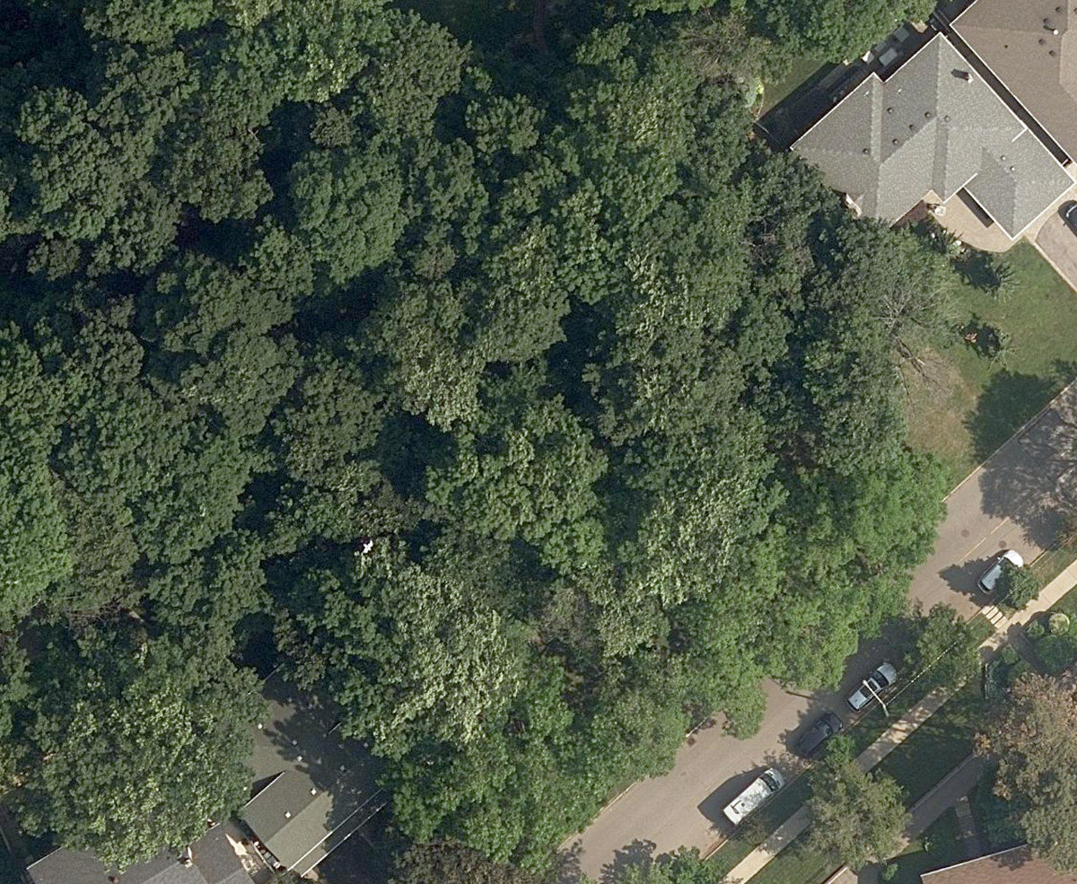 Lion'S Gate Park — site photograph