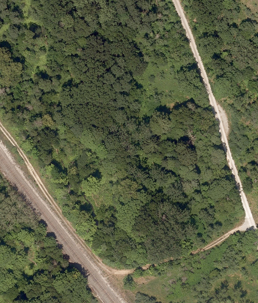 City Wide Open Space — site photograph
