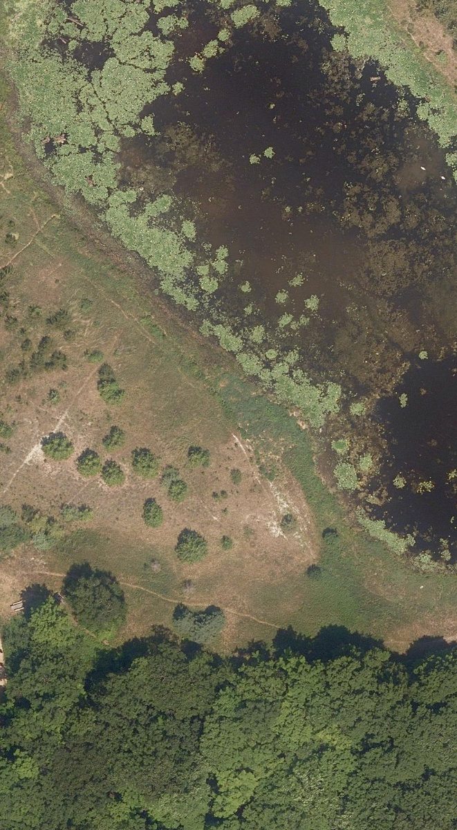 City Wide Open Space — site photograph
