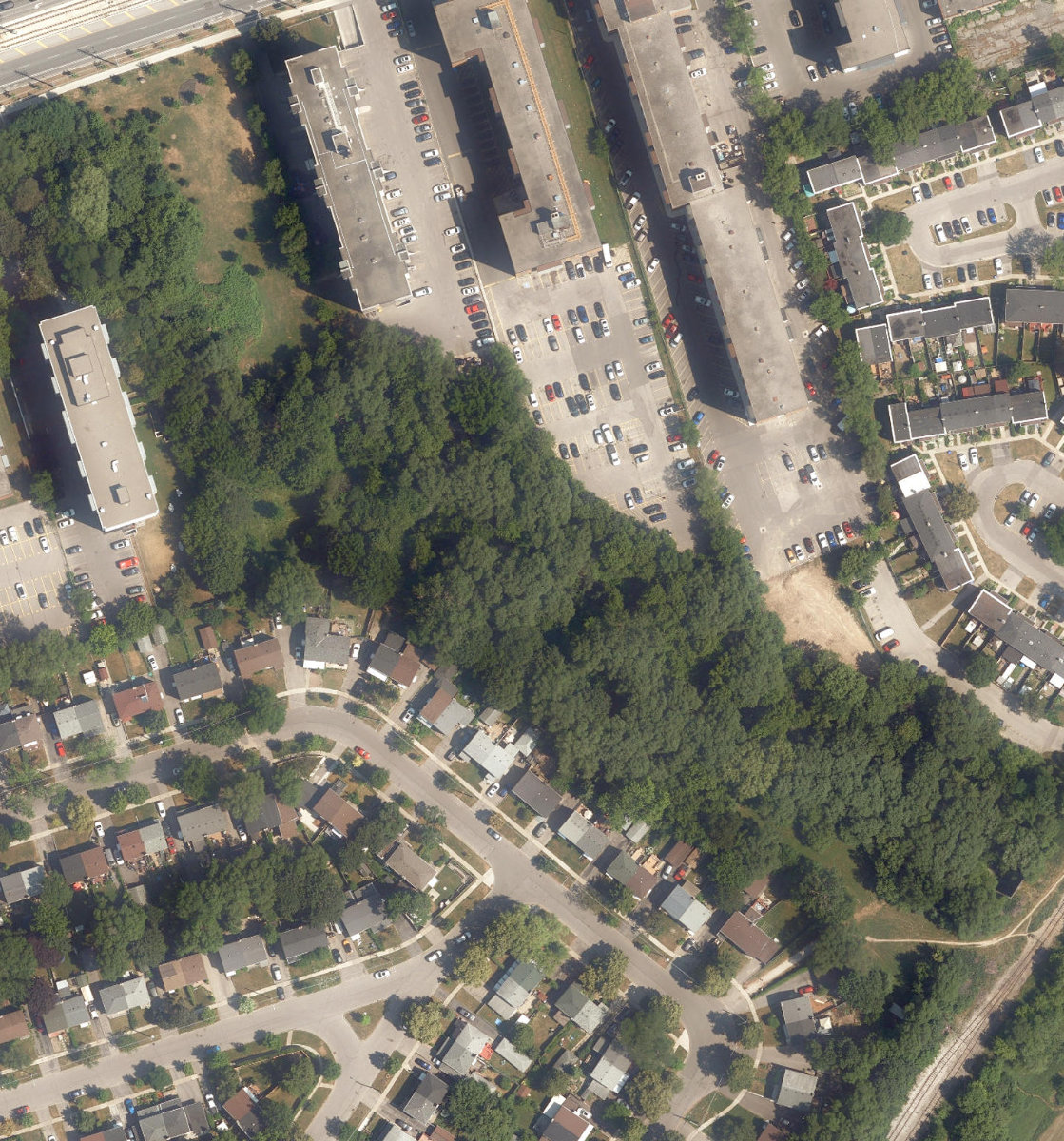 Eglinton Ravine Park — site photograph
