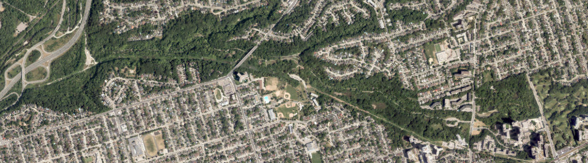 Taylor Creek Park — site photograph