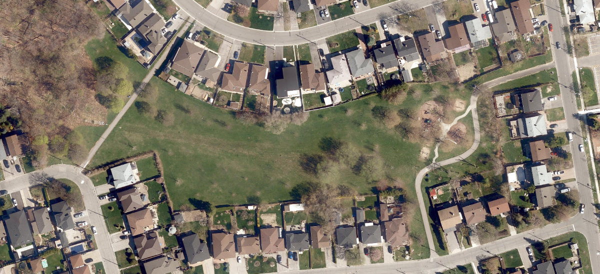 Langholm Park — site photograph