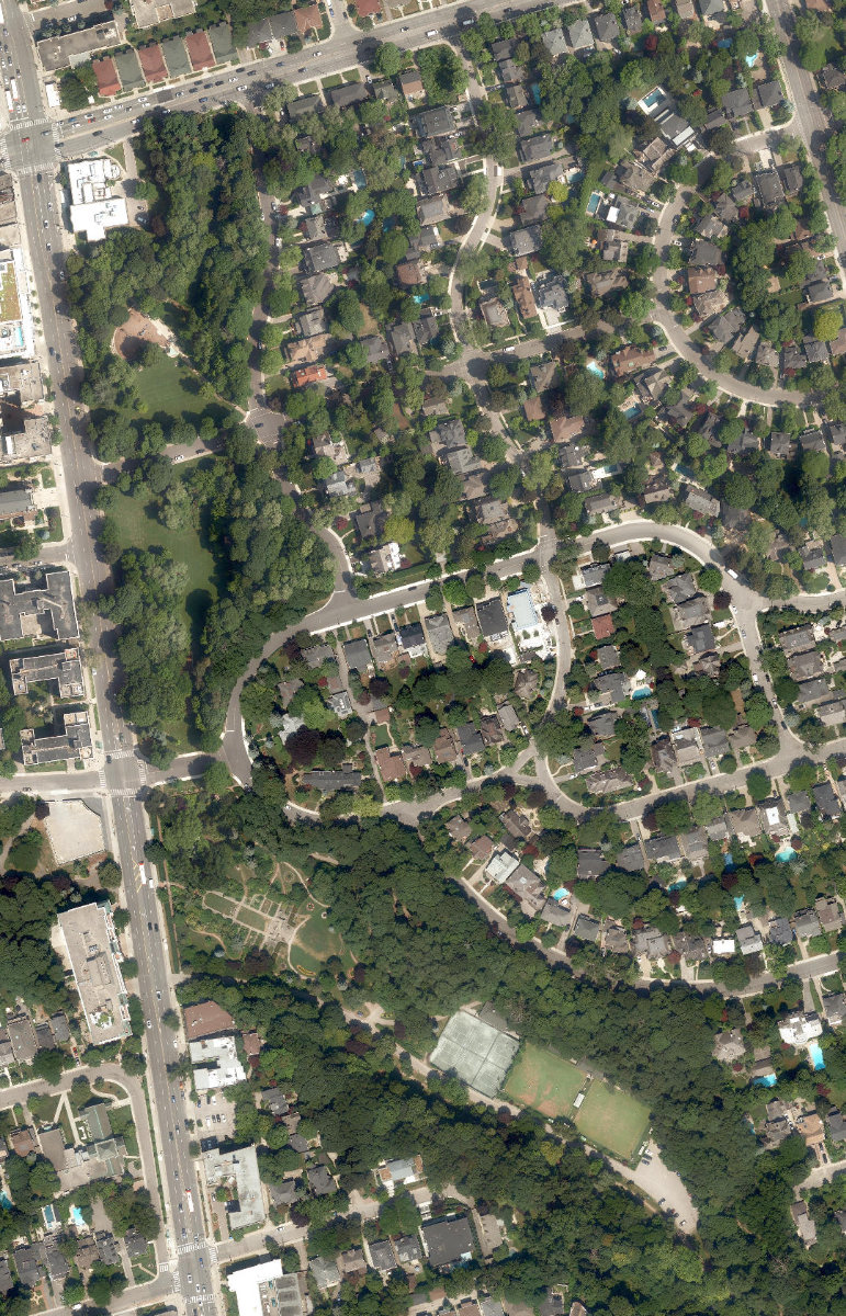 Lawrence Park Ravine — aerial / top-down view