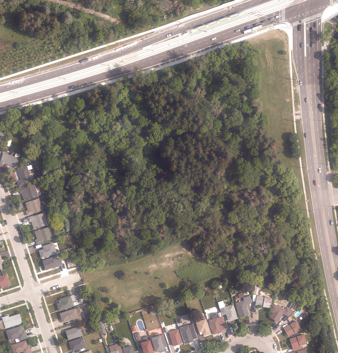 Finch - Islington Park — aerial / top-down view