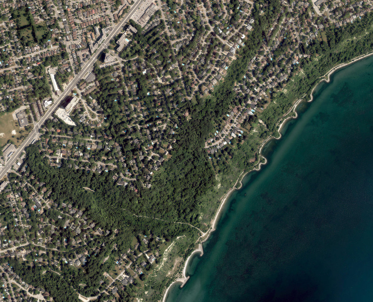 Sylvan Park - Gate Gully — site photograph
