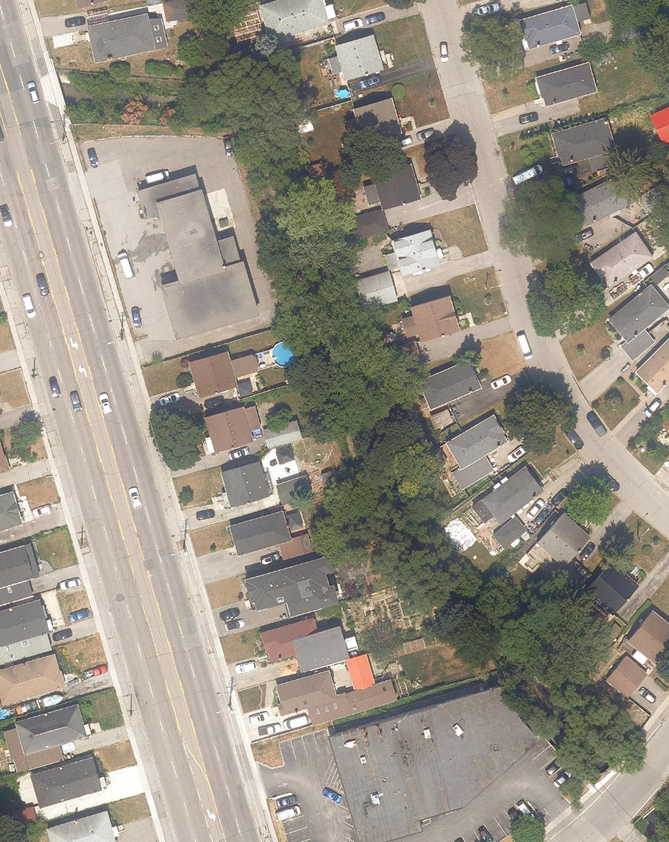 Massey Creek Watercourse — site photograph