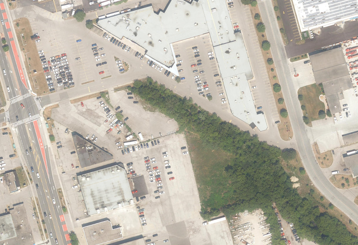 West Highland Creek Watercourse — site photograph