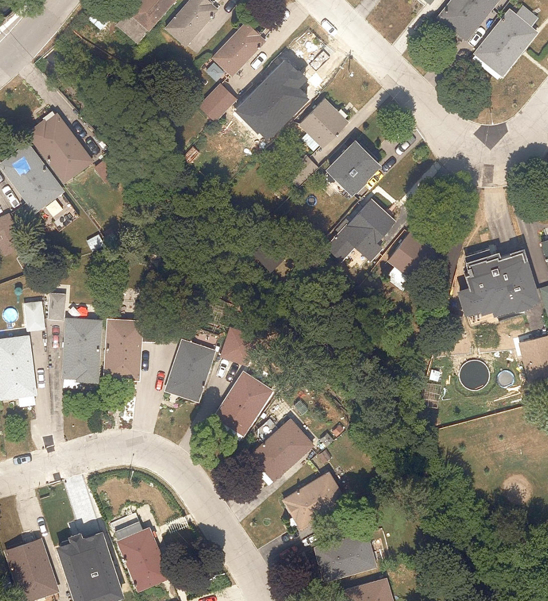 Massey Creek Watercourse — site photograph