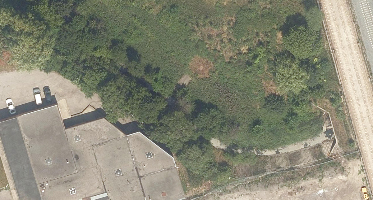 West Highland Creek Watercourse — site photograph