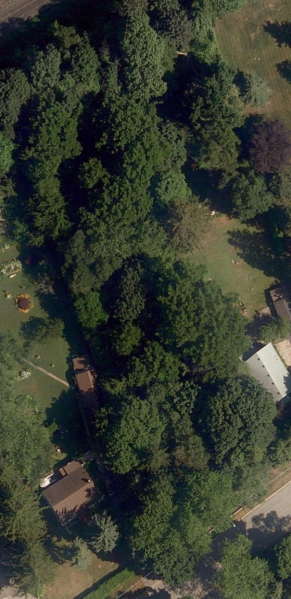 City Wide Open Space — site photograph